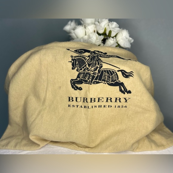 Burberry Nova Check & Denim Crossbody Bag EUC, includes Burberry Dust Bag - Picture 4 of 16